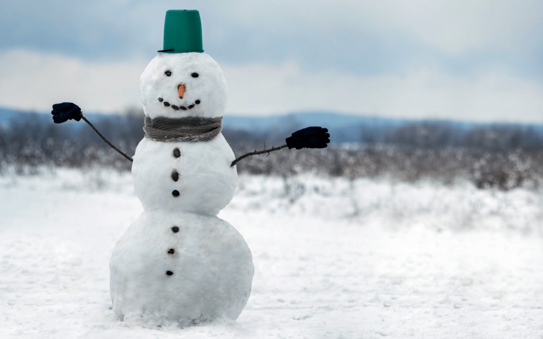 Estate Planning is Like Building a Snowman