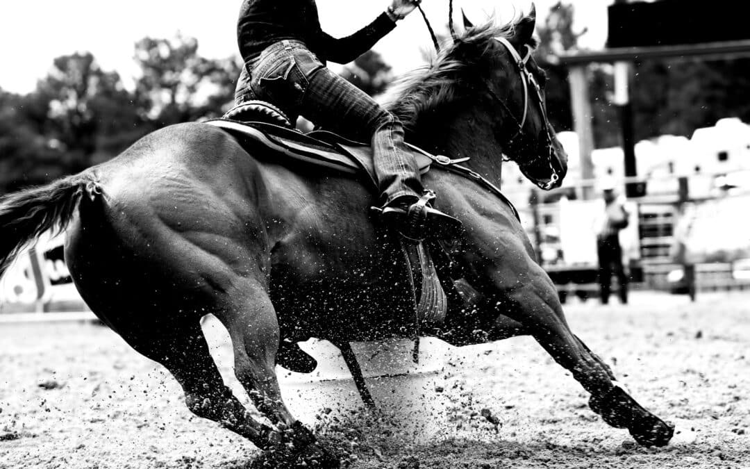 Buying or Selling a Horse