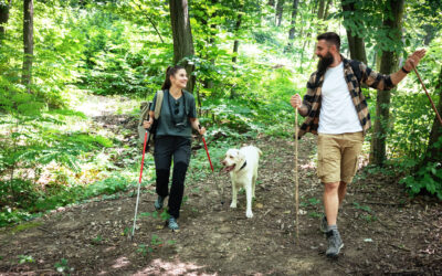 Pets and Will Estate Plans